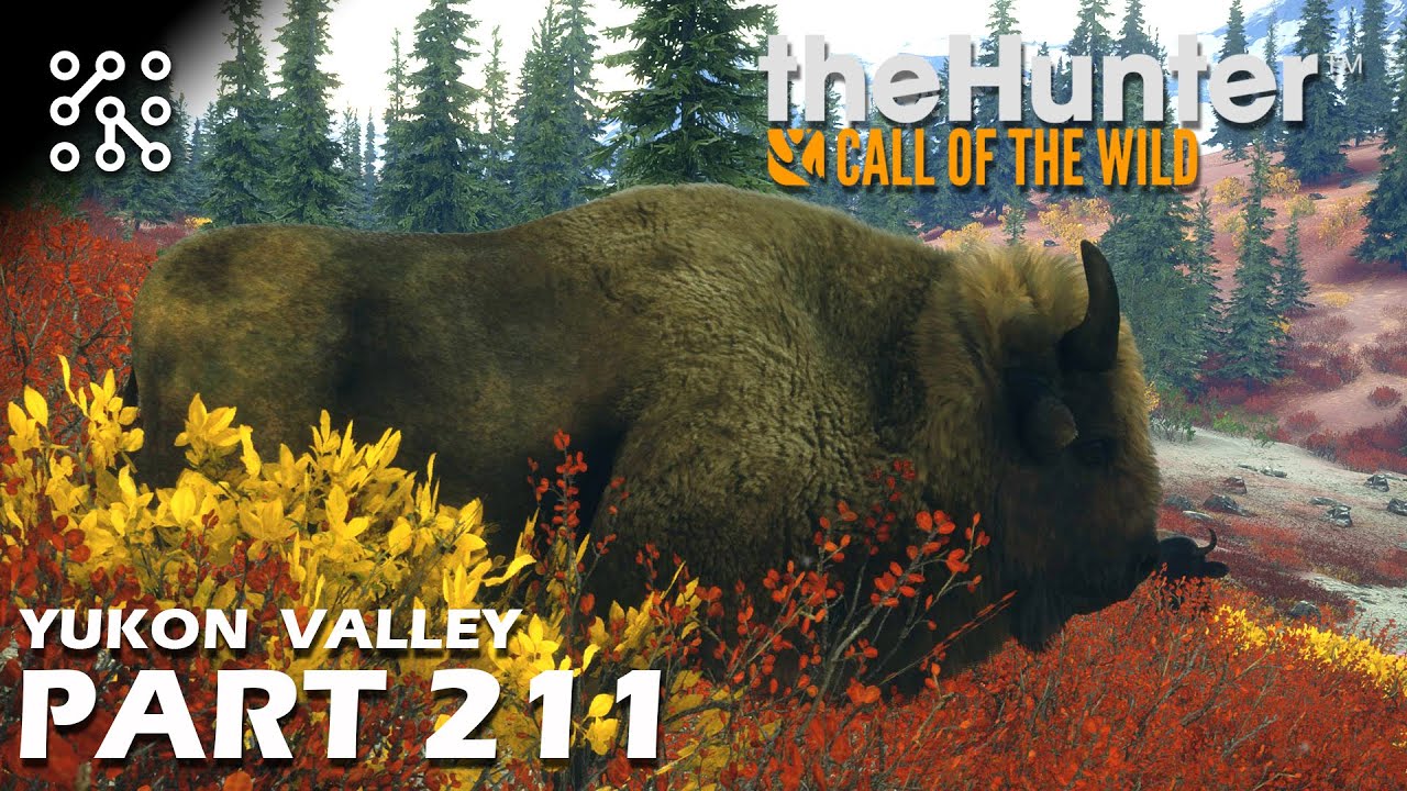 The Hunter: Call of the wild CZ | Kde lovit bizony na mapě Yukon? - #211 | Česky