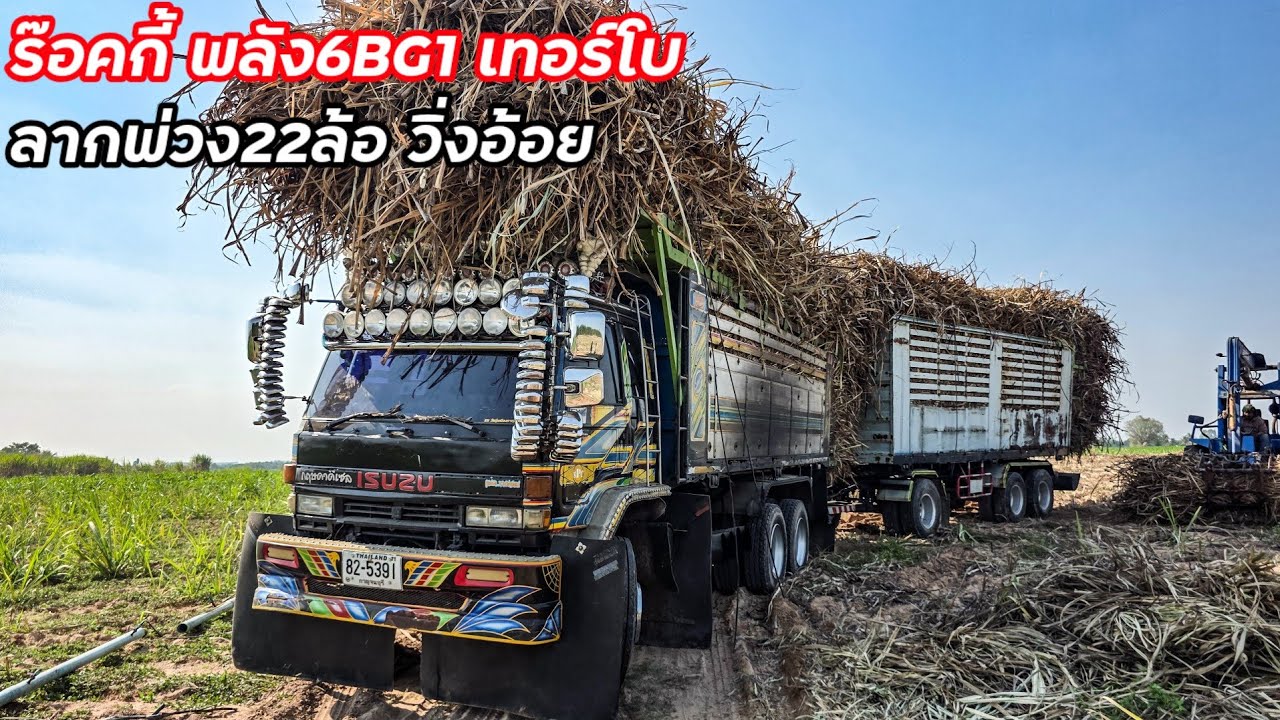 6BGลากพ่วง3คาน จัมโบ้วางหัวร๊อคกี้ เกียร์อีตั้น ลากอ้อยหนักออกไร่ เจอหล่มทราย ดิ้นกันสุดแรง