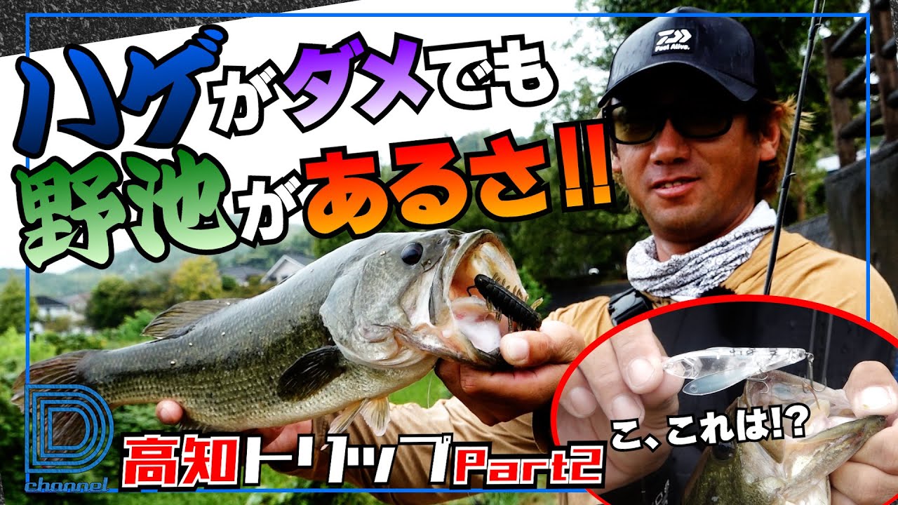 【青木大介 D Channel 