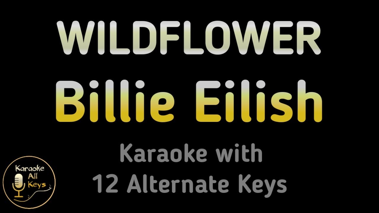 Billie Eilish - WILDFLOWER Karaoke Instrumental Lower Higher Male & Original Key