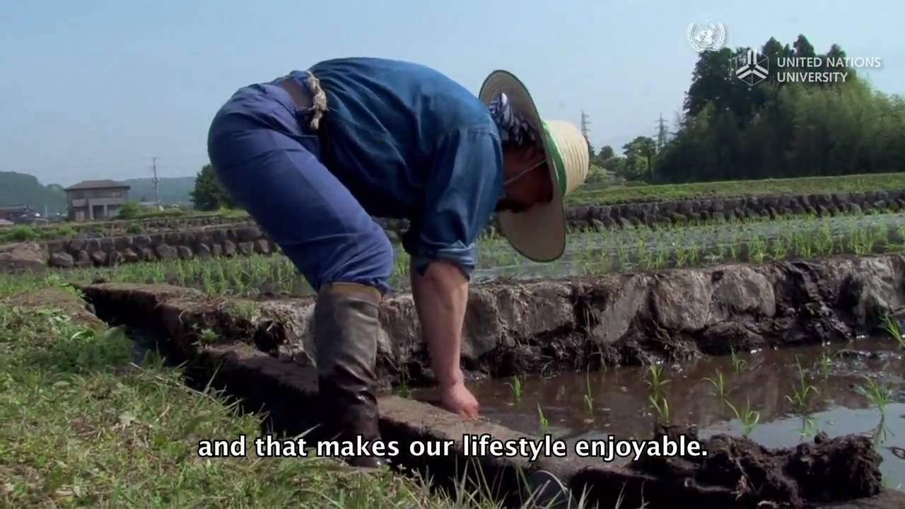 Mt. Fuji eco village connects to a greener world