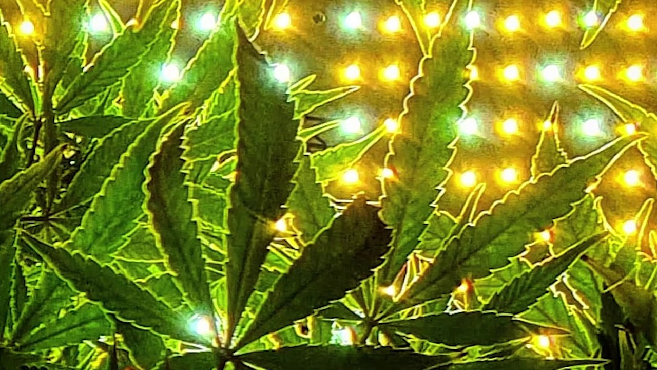 Progressive Psy Trance Mix [110 ~ 140 BPM] | live DJ Set @ Tonkugel, 2020 09 08