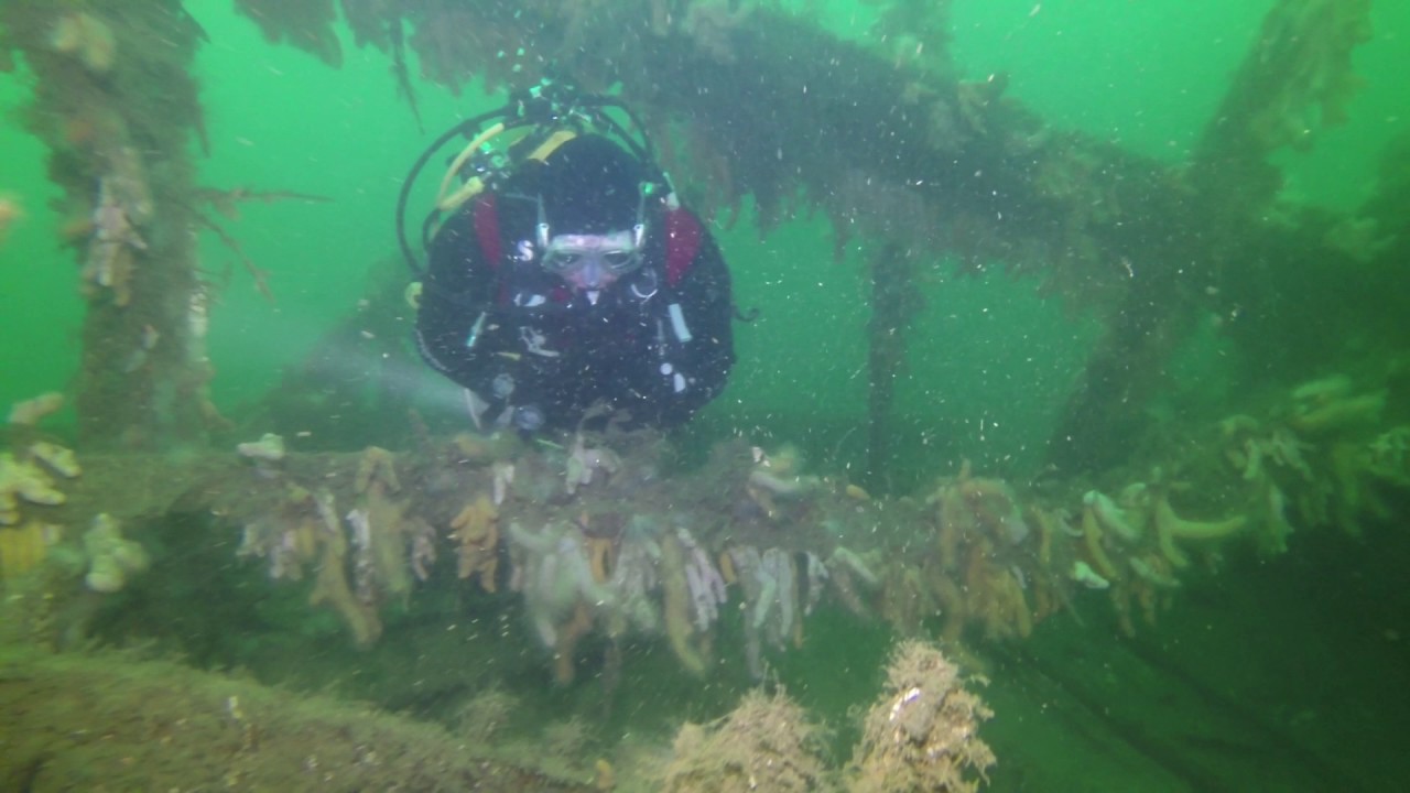 A Dive on the SS Breda July 2017