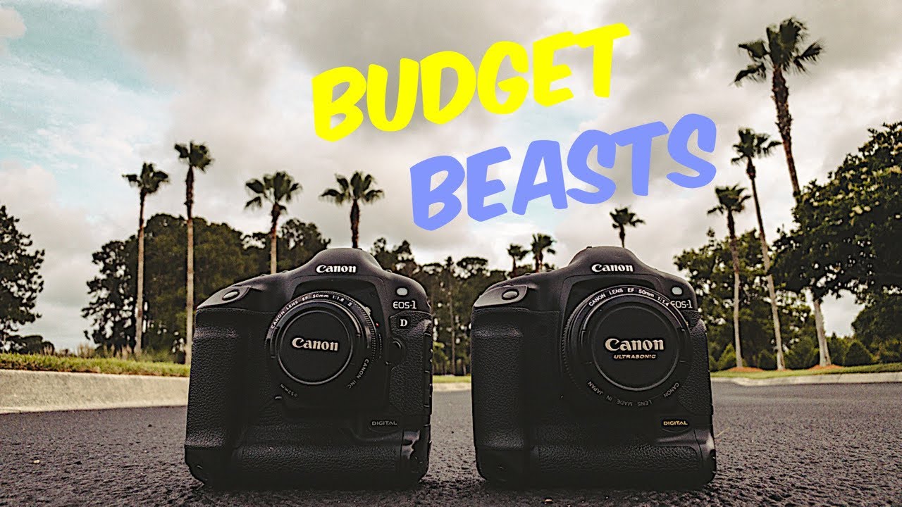 Canon 1D vs Canon 1DS $200 and Under!