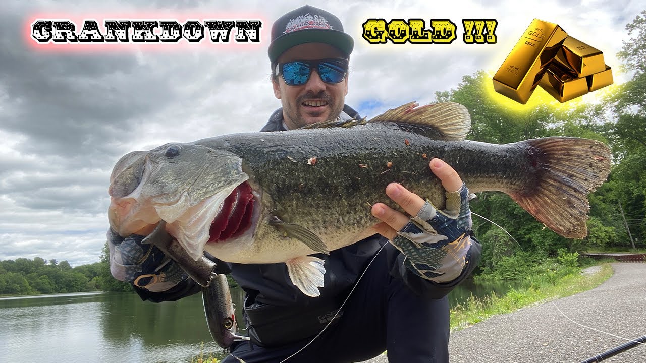 6lb, 11oz MONSTER BASS eats a 9