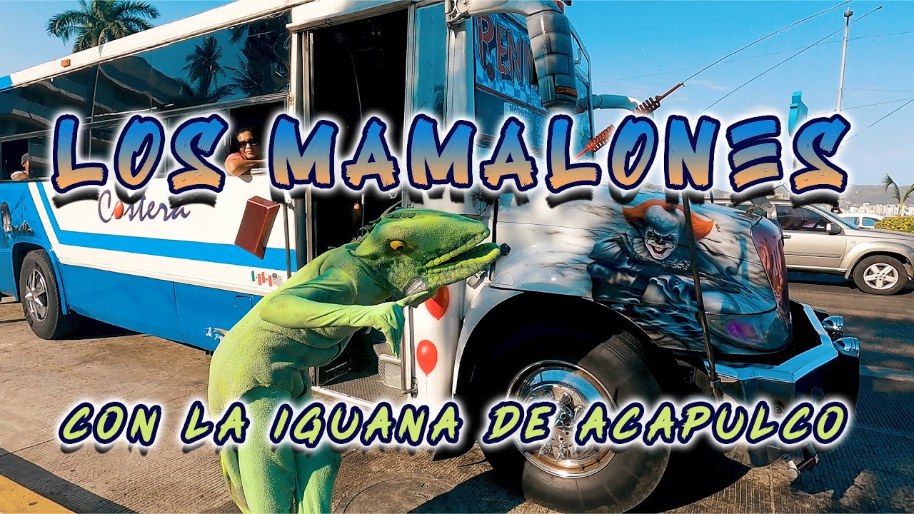 🔥El TRANSPORTE EXCÉNTRICO FT. LA IGUANA🦎 de ACAPULCO | El Nikel