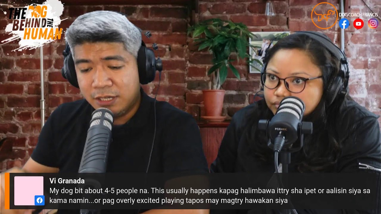 Season 2 Episode 4: Ask Dog Coach and Trending News plus Dogs in Ukraine