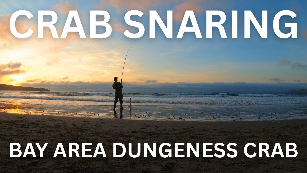 Crab Snaring HUGE Dungeness Crabs for Dinner | Bay Area