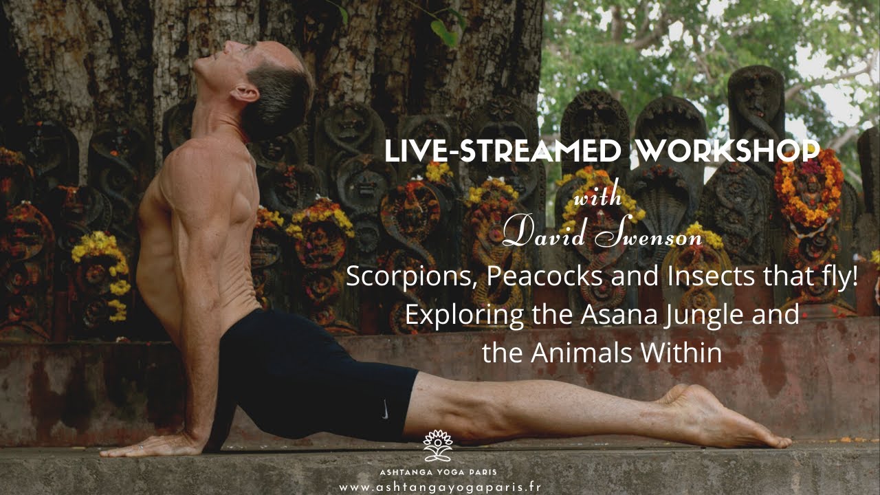 Yoga Workshop with David Swenson