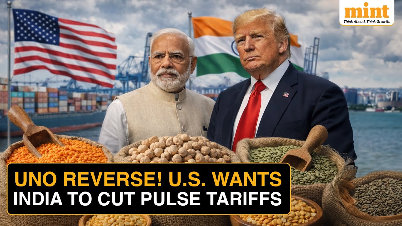 Lentils, Chickpeas and Trade Power: Why Pulse Tariffs Are Now at the Heart of U.S. - India Talks
