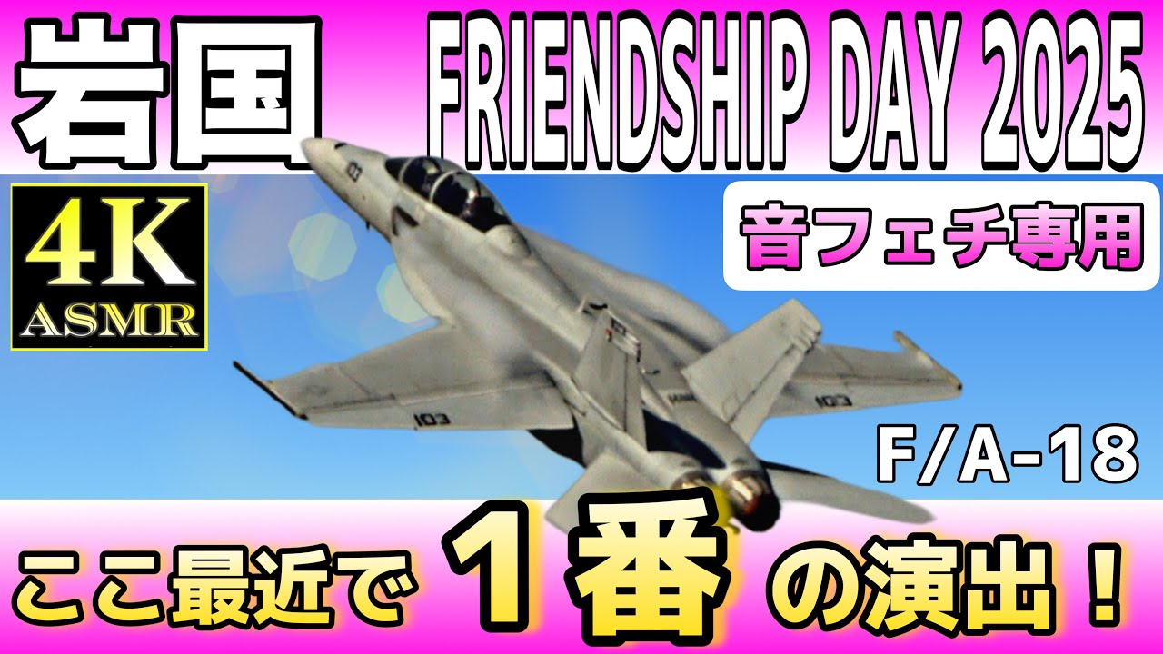 [ASMR] 岩国フレンドシップデー2025 F/A-18F Demo 有料観覧席から撮影#fa18 #asmr #fd25
