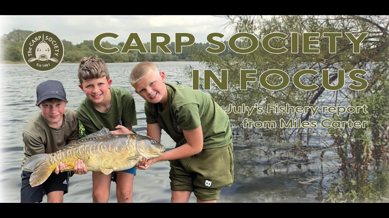 Carp Society 2025 June July
