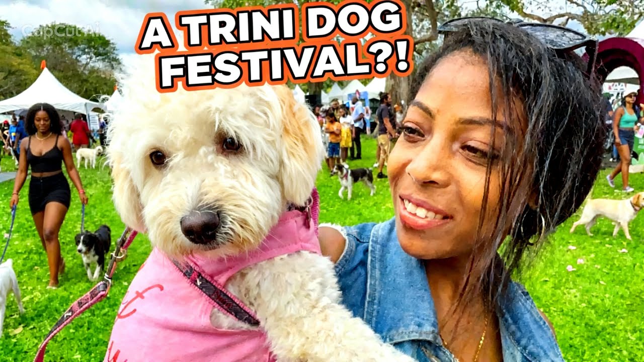 Paws in the Savannah Dog Friendly Event at Queen&rsquo;s Park Savannah Trinidad 🇹🇹 