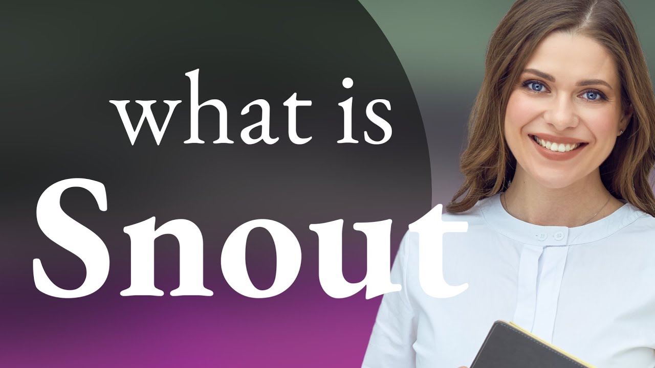 Snout &mdash; SNOUT meaning