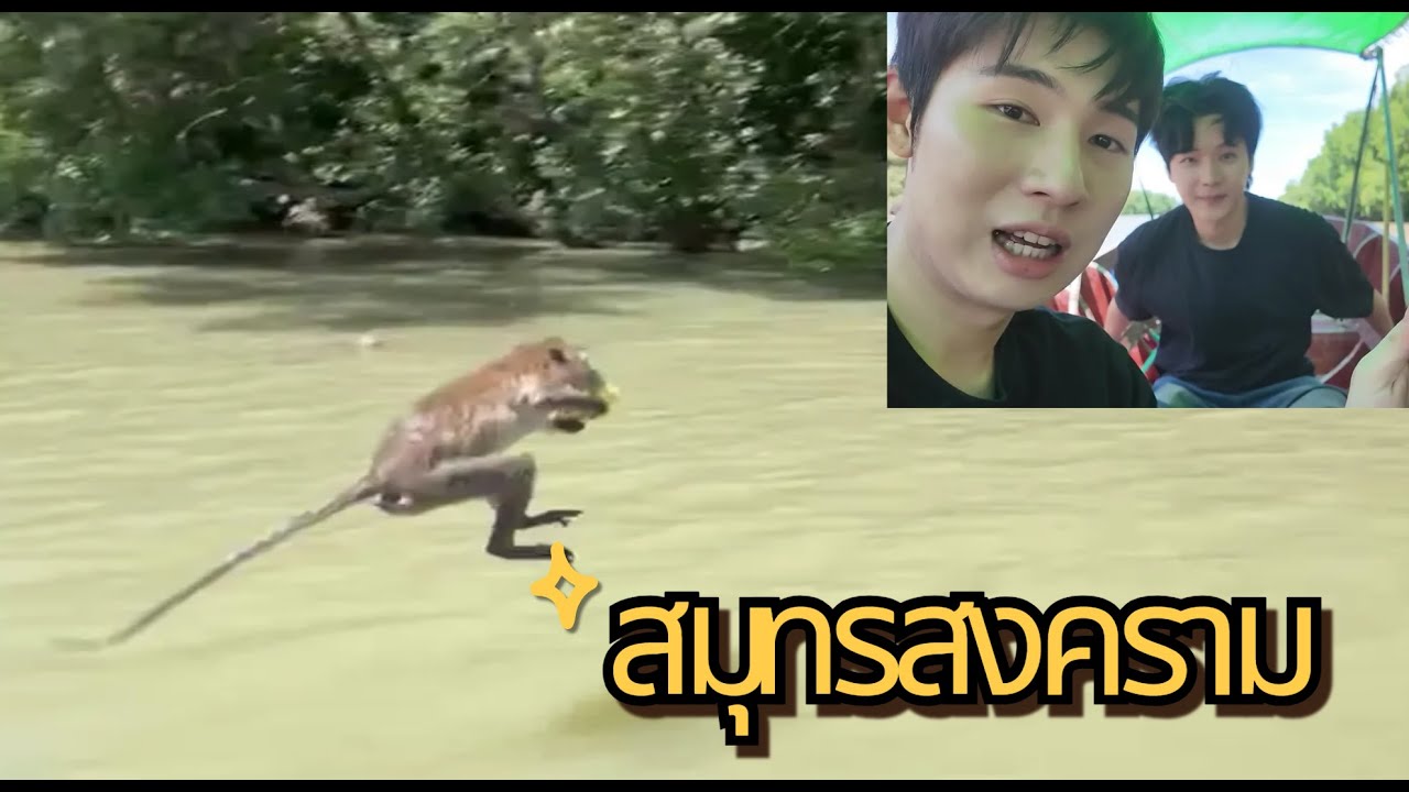 สมุทรสงครามไม่ได้มีแค่ตลาดน้ำ ㅣ yojibi l Samut Songkhram