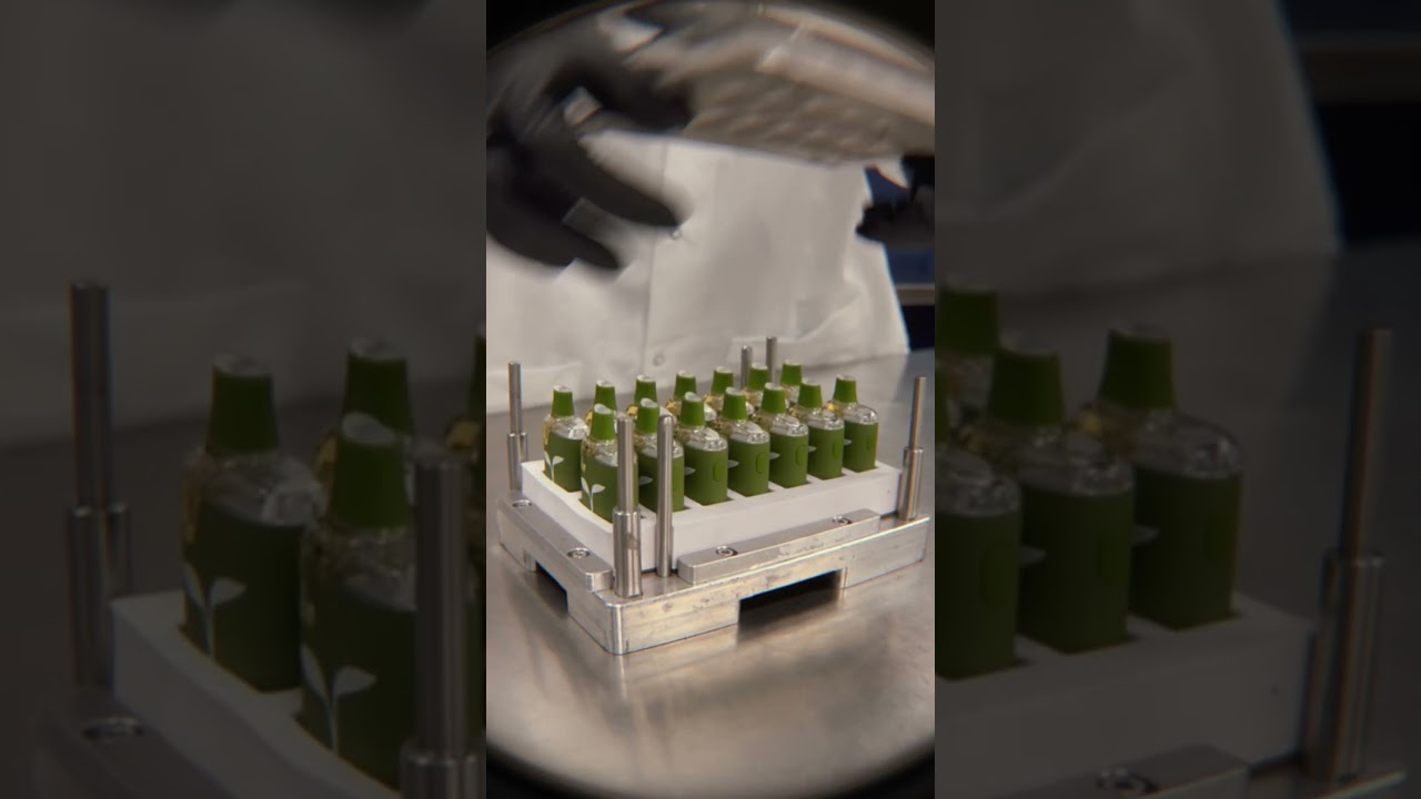 Introducing Raw Garden's Sprout All-In-One | Behind the Scenes
