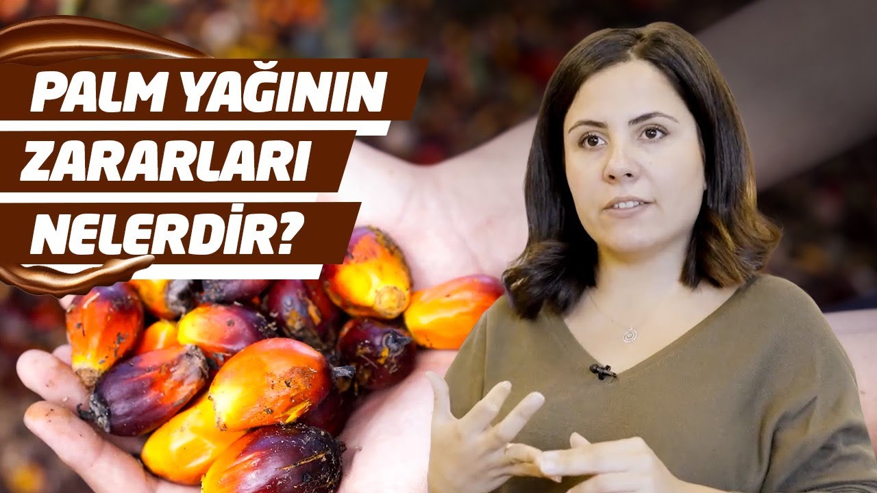 3 Malzemeyle Katkısız Fındık Kreması Yapmak Mümkün | Beyaz Çikolata, Çikolata mıdır?