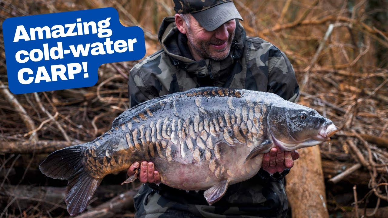 Winter CARP FISHING at Horcott Lakes