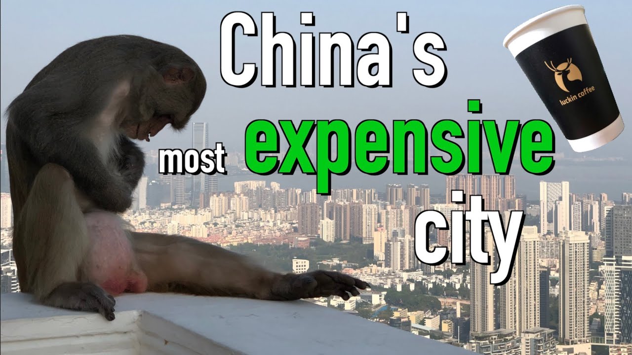 What is Like to Live in Shenzhen, China