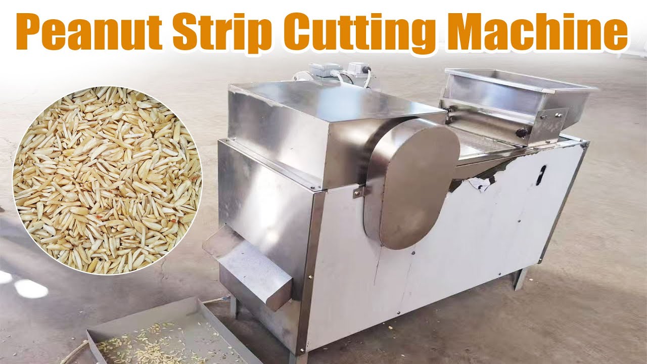 High efficiency peanut strip cutting machine | Work process of groundnut cutting machine#peanut