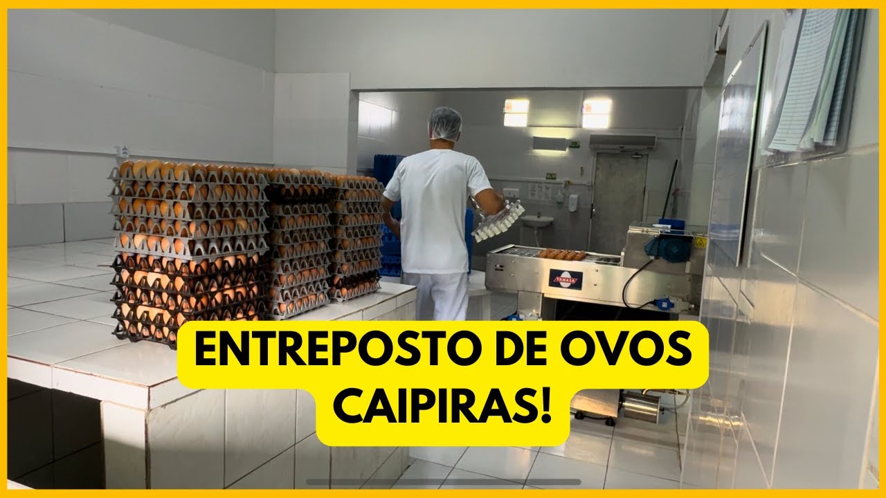 ENTREPOSTO de OVOS CAIPIRAS REGISTRADO no SIF