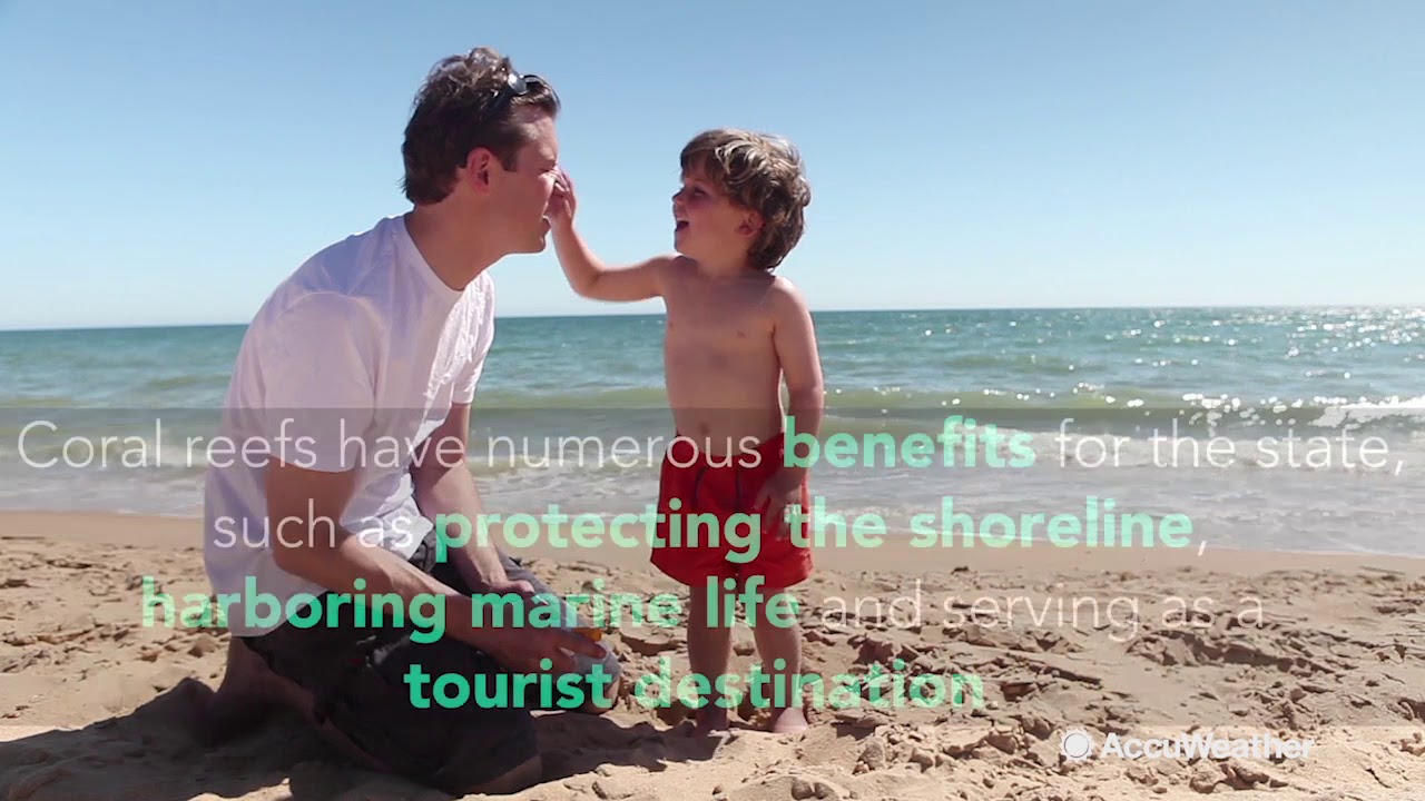 Certain sunscreens banned in Hawaii to protect coral reefs
