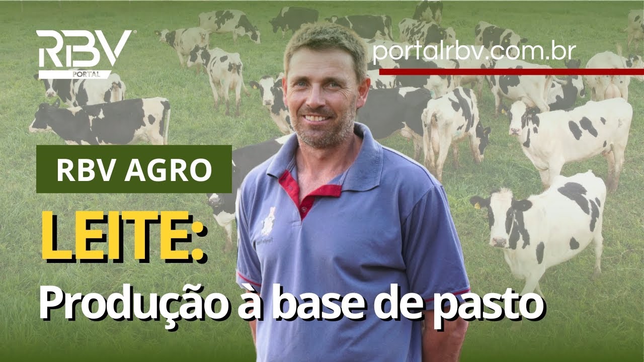 PRODUÇÃO DE LEITE À BASE DE PASTO - RBV AGRO - 02/09/23