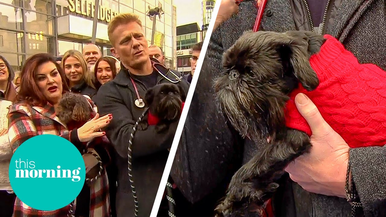 Keep Your Pet Safe This Winter With Dr Scott&rsquo;s Advice | This Morning