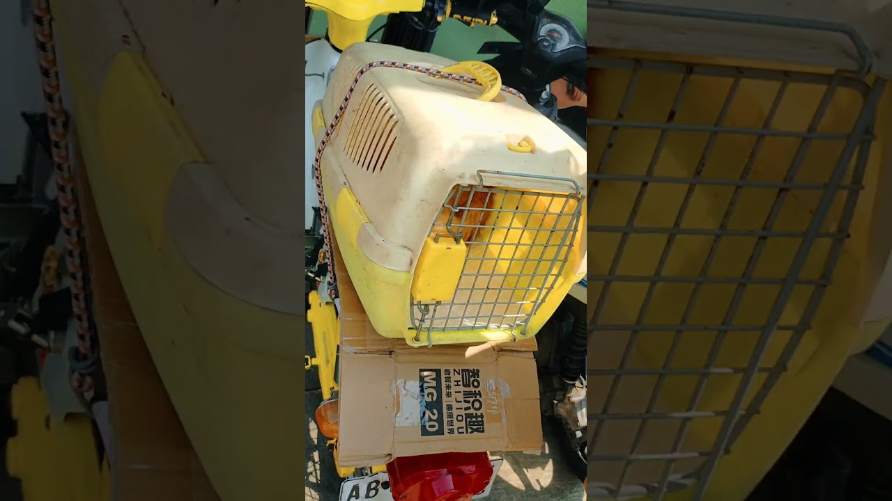 Honda C70 Original plat Jogja || gak dijual kata si bapak 😁 