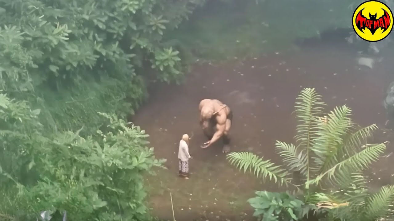 Biologists Stopped Exploring the Jungle After Finding THIS!