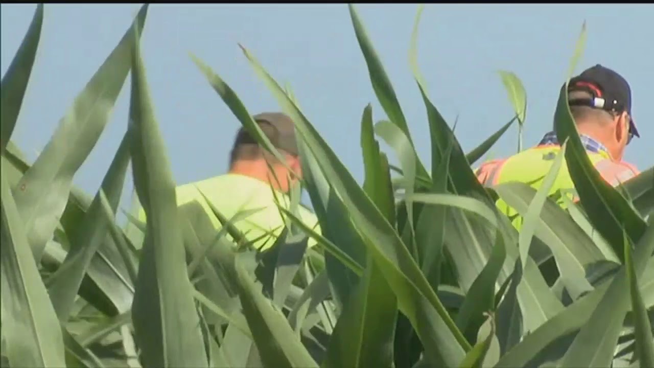 Migrant worker's death highlights risks of seasonal farm work