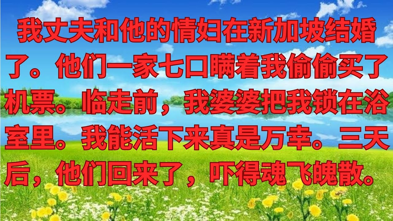 【優秀爽文】丈夫和小三在新加坡領證，婆家7口人瞞著我買了機票，臨走前婆婆把我鎖在廁所，能活下來，就算