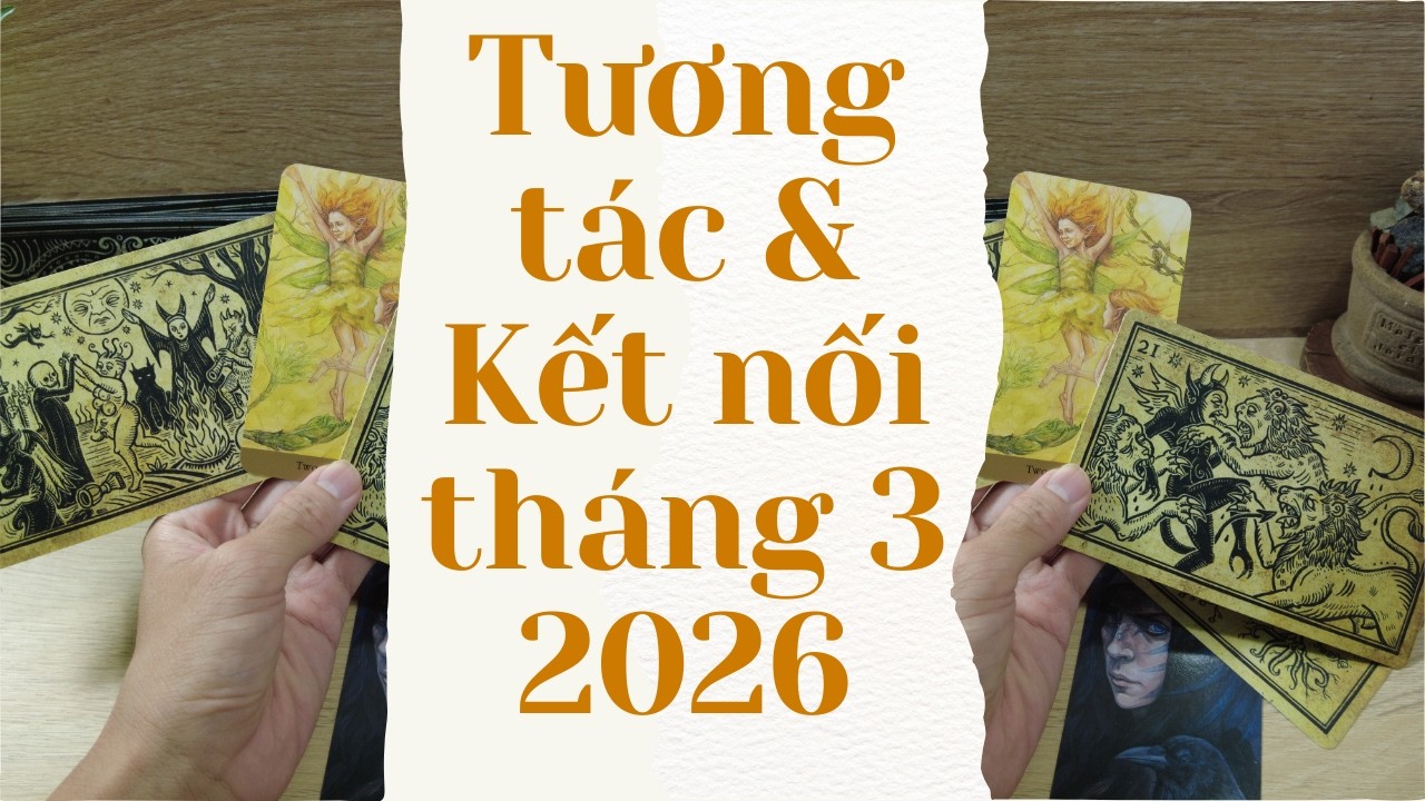 Tương t&aacute;c & Kết nối th&aacute;ng 3 | Series dự đo&aacute;n th&aacute;ng  -  Tarot b&aacute;nh quy