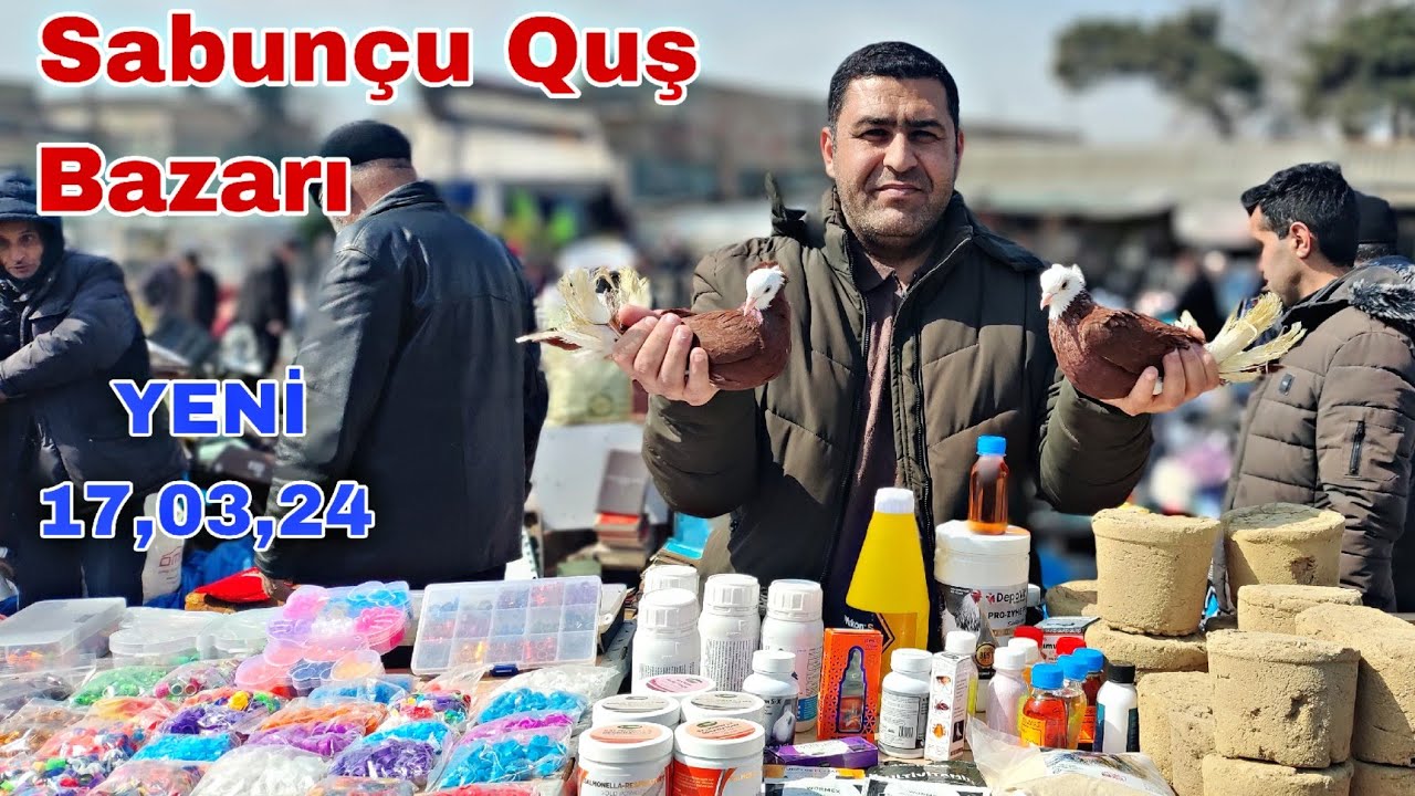 Sabunçu Quş Bazarı 17 mart 2024 #qusbazari #bakigoyercinleri