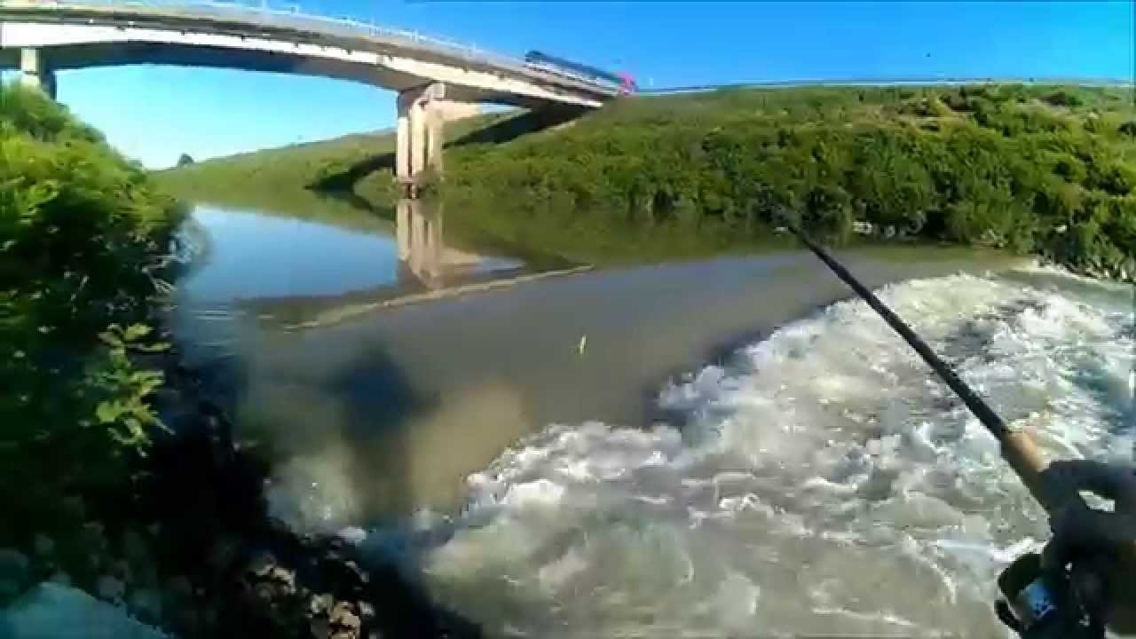 Spinning Catfish. Strong Current Big Fish.June 2015