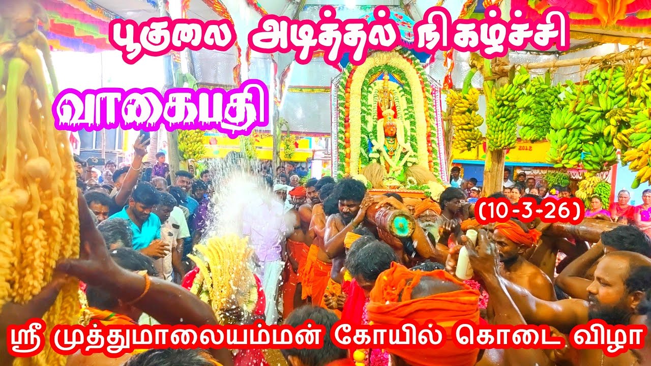 #பூகுலை அடித்தல் நிகழ்ச்சி முழுக்காட்சி தொகுப்பு #வாகைபதி #ஶ்ரீ #முத்துமாலையம்மன் கோயில் கொடை விழா