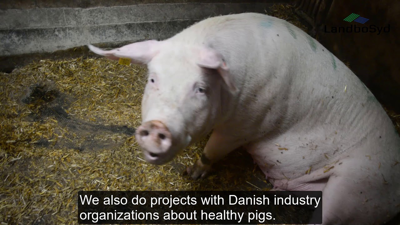 denmark and foreigners workers in agriculture
