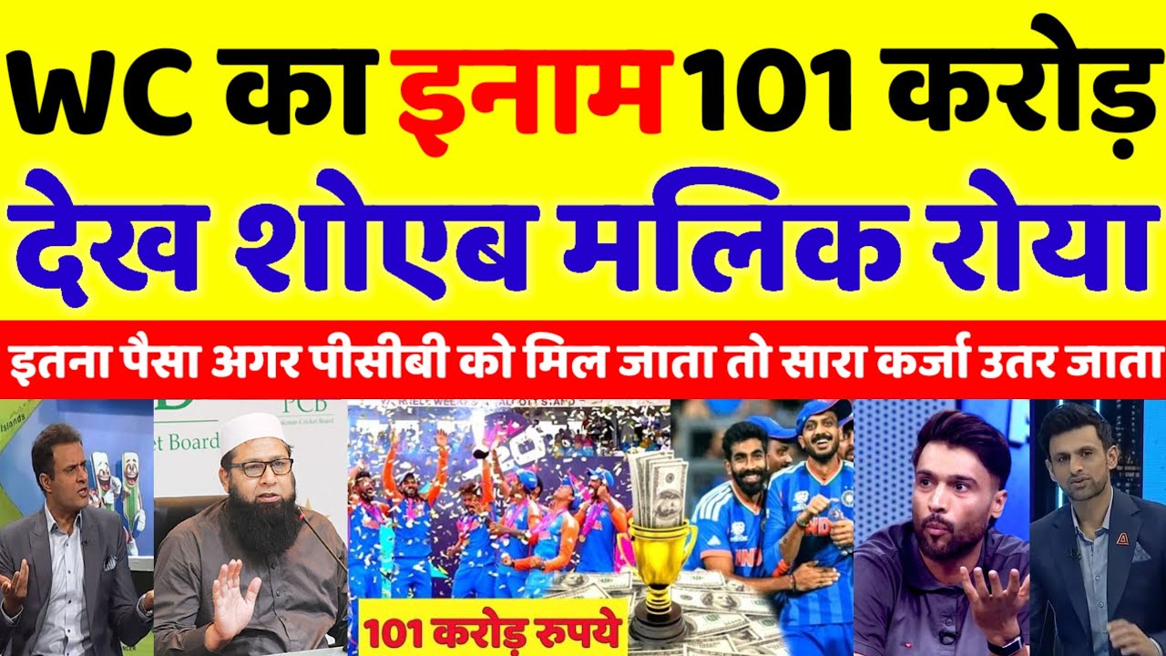 Pak Media Crying ICC Awards ₹101 Cr As Prize Money To India For Winning T20 WC Final | pak reacts