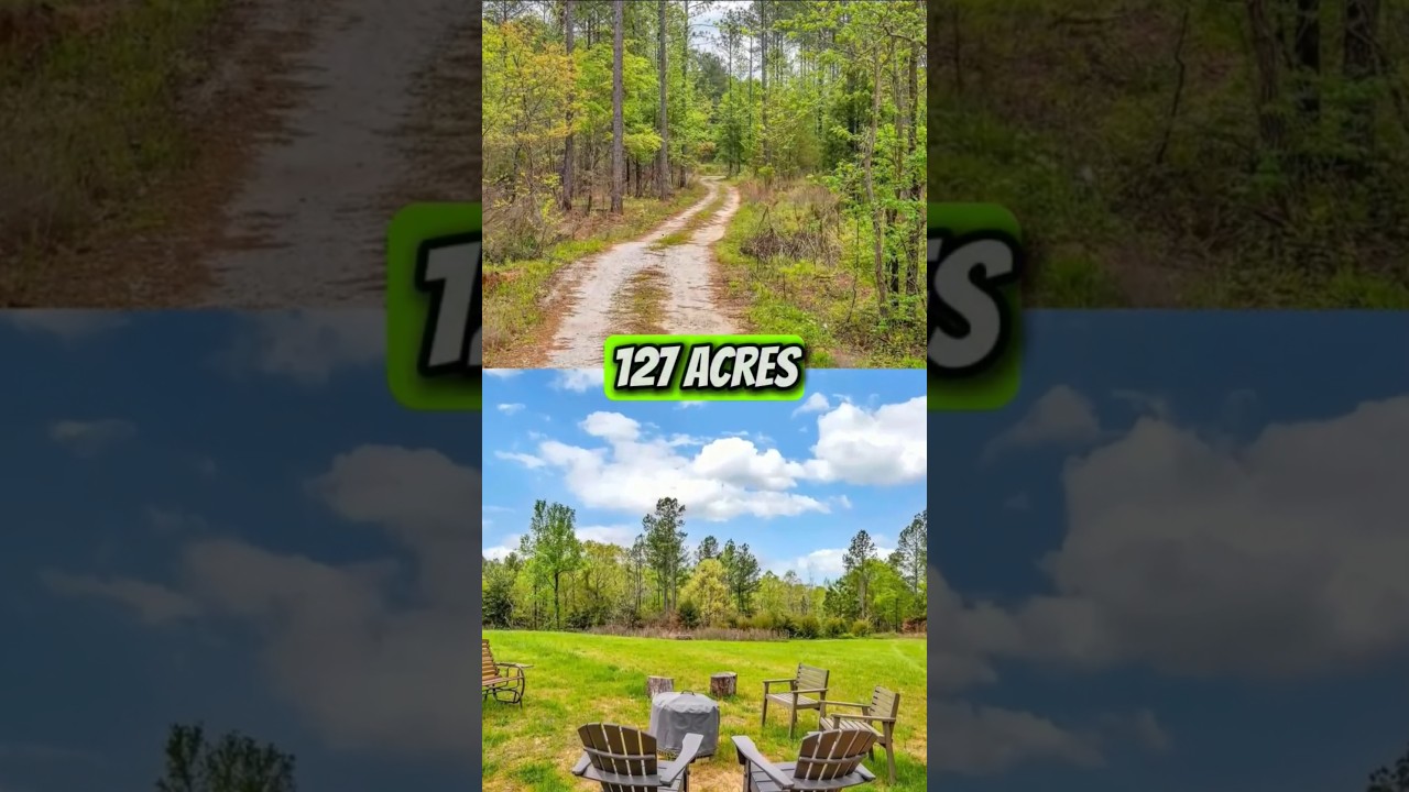 Farm For Sale In Carolina | 127 Acres | 1249 Riley Road, Buffalo, SC 29321