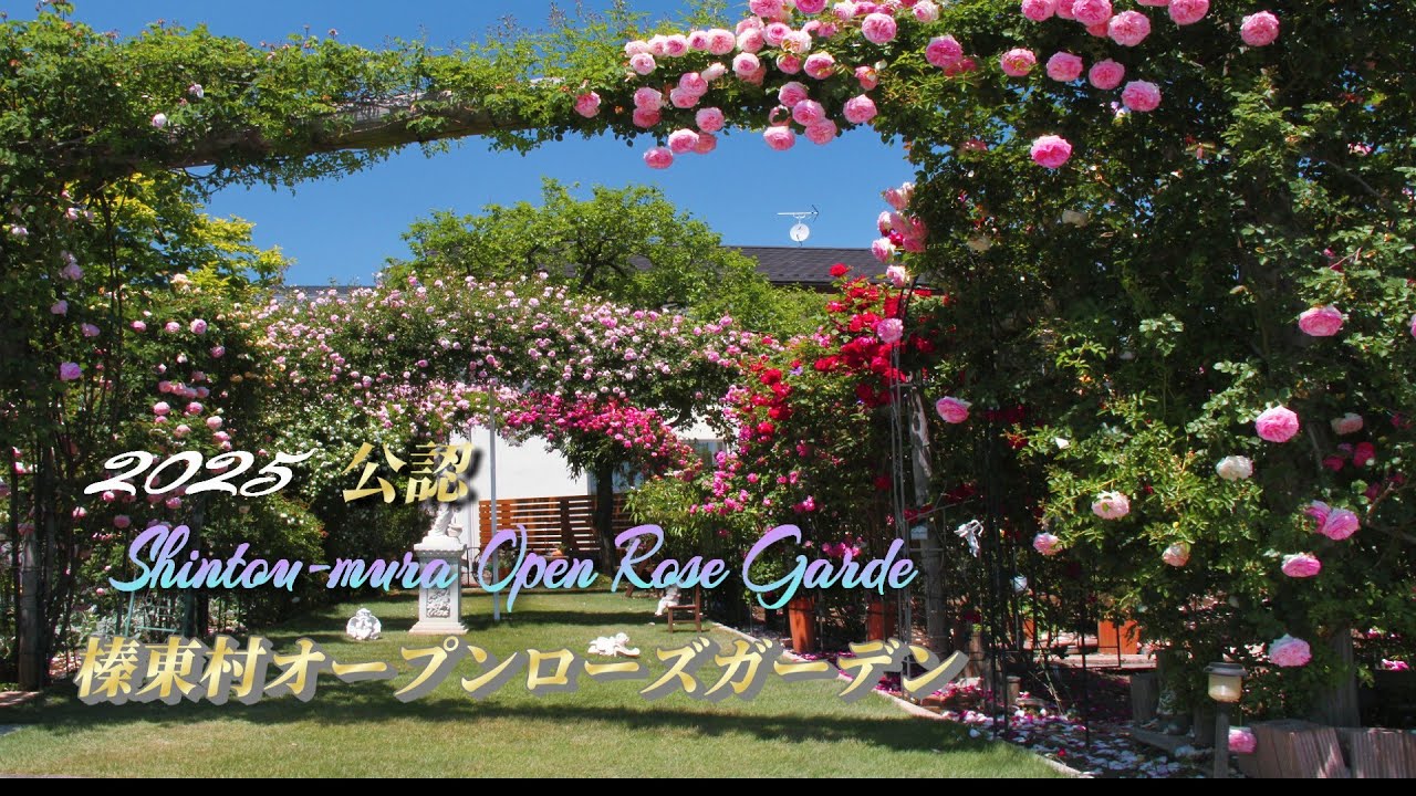 【榛東村オープンローズガーデン】11軒のガーデンを2025年5月20日撮影　榛東村 公認　群馬県北群馬郡榛東村