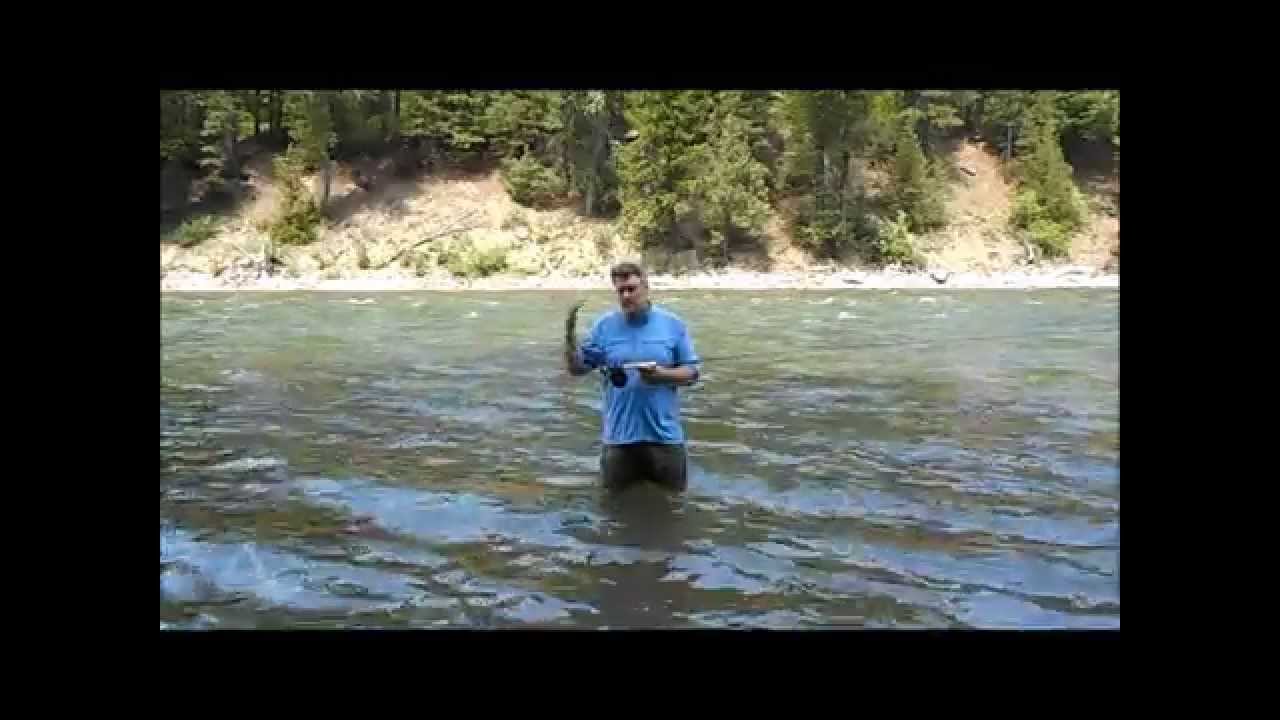 A Review of the Sage Salt Fly Rod