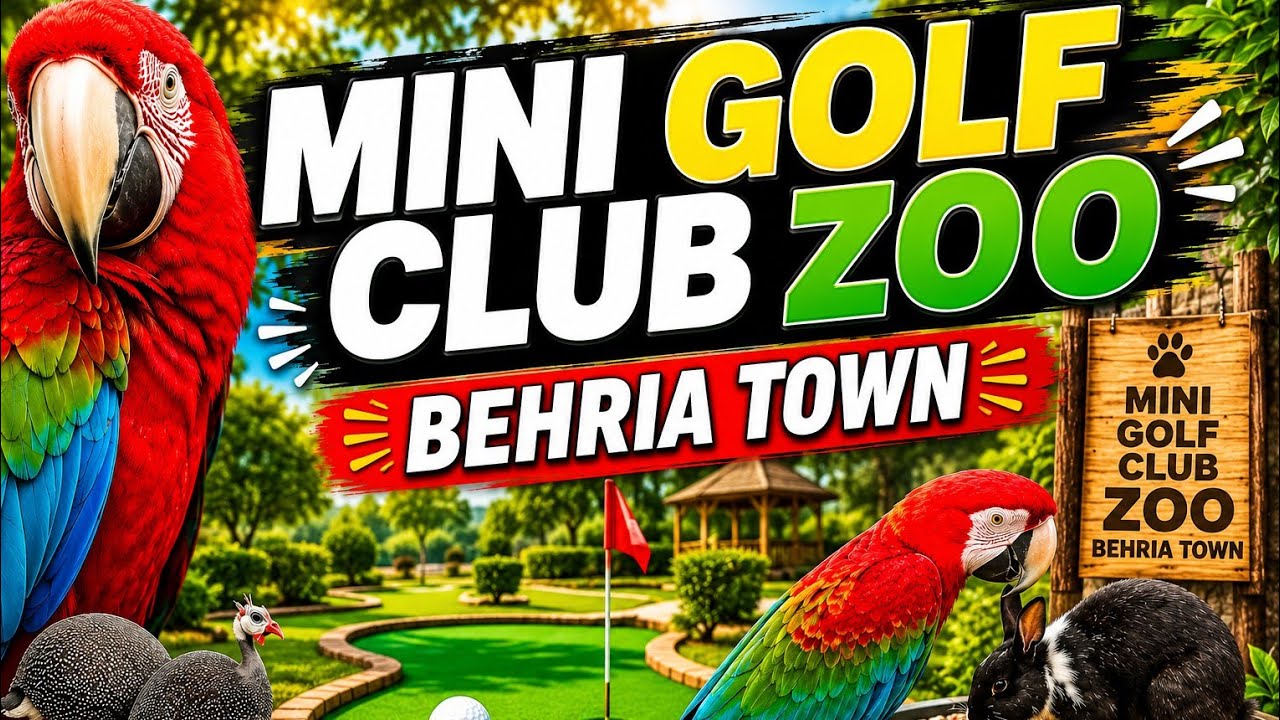 Ma Sha Allah so beautiful patriot 🦜 in golf ⛳ mini club behria town phase 4|  خوبصورت ترین  پرندے🦚🦃