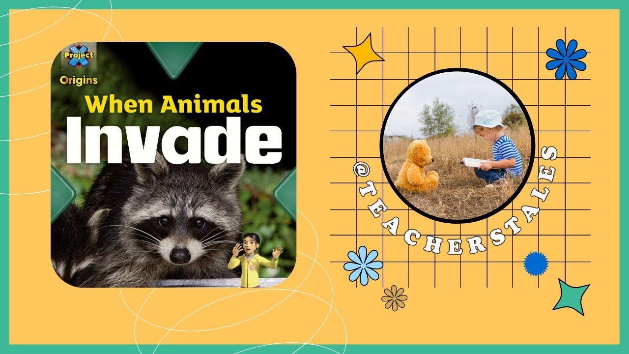 When animals invade 🐀🦝🐻‍❄