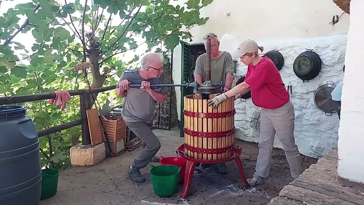 Time Lapse of Pressing Grapes.