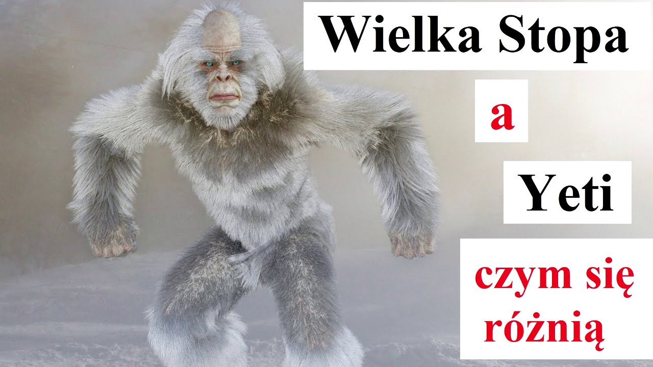 Wielka Stopa a Yeti - czym się r&oacute;żnią