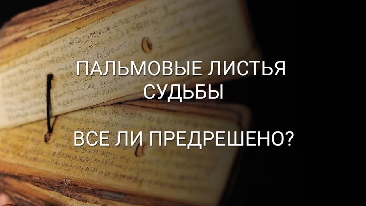 ПАЛЬМОВЫЕ ЛИСТЬЯ СУДЬБЫ. ВСЕ ЛИ ПРЕДРЕШЕНО?