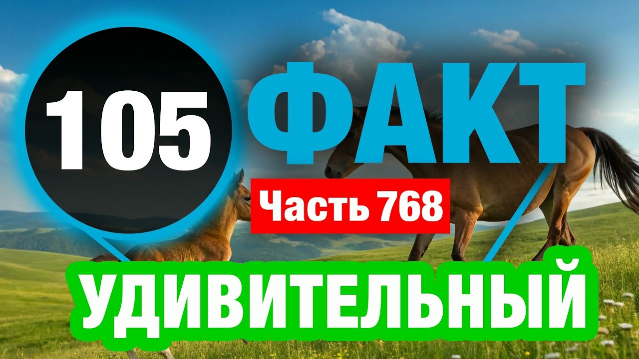 105 Великолепный Факт О Котором Вы Не Знали