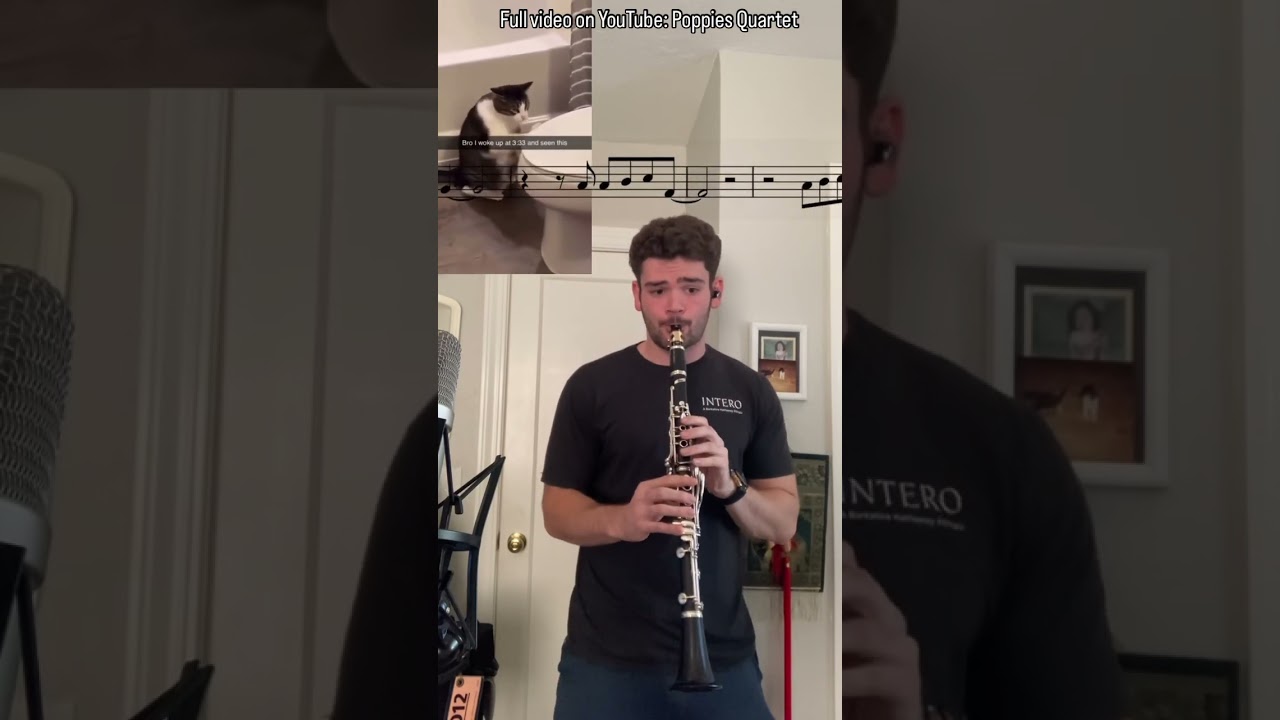 Cat Drummer!? #clarinettist #clarinetplayer #clarinetist #monstersinc #classicalmusicians