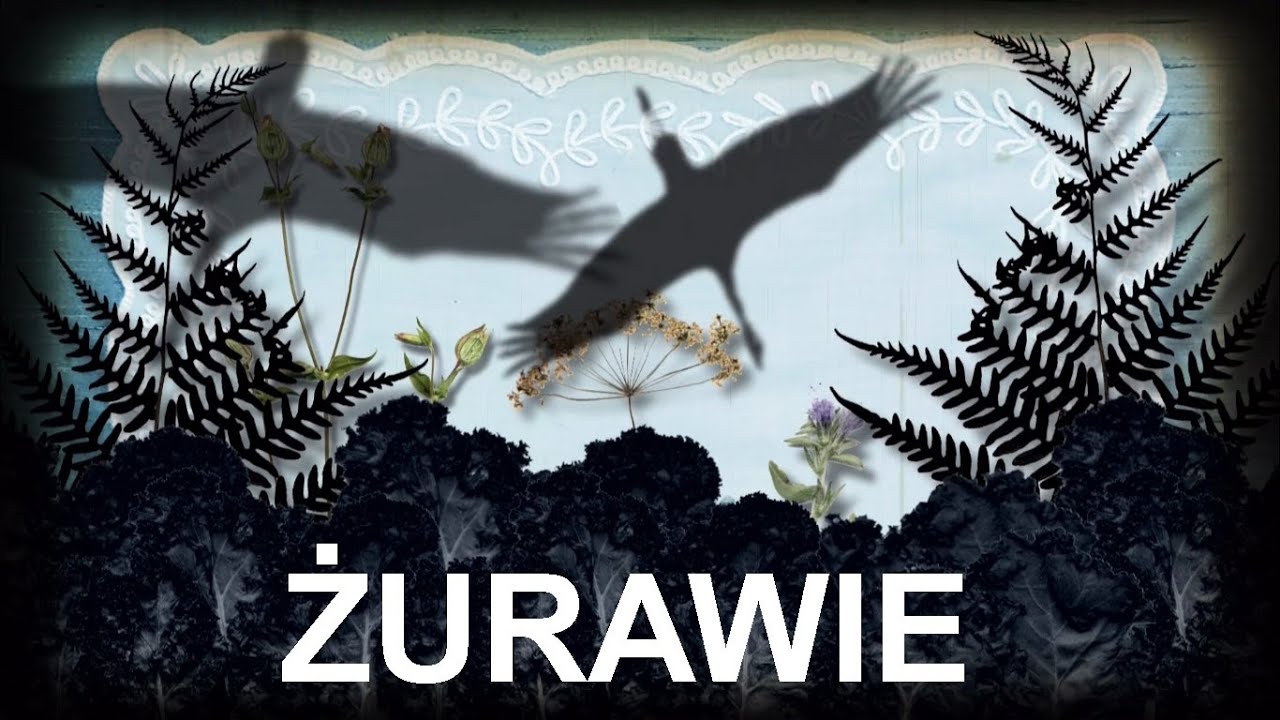 ŻURAWIE