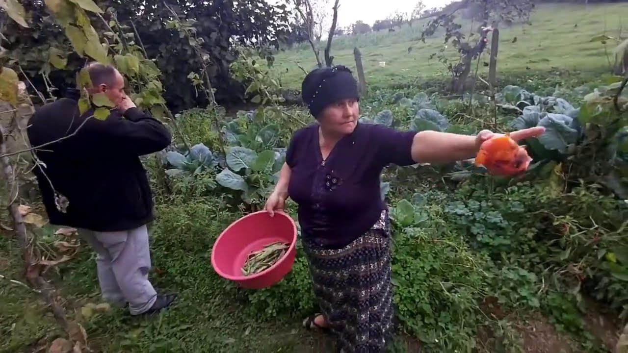 ev nasıl boyanır ve anne babamla hos sohbet bahçeden neler topladik